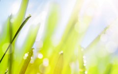 2019年农历八月初五日是几月几日,可不可以出行?