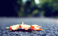 2019年农历八月初九日黄历日子好吗合适出行吗?