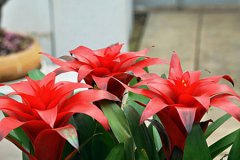 2019年农历七月二十八是不是黄道吉日,今天日子好不好？