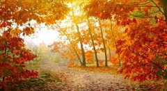 宝宝农历七月出生要在几月怀孕，农历七月出生的人好吗？