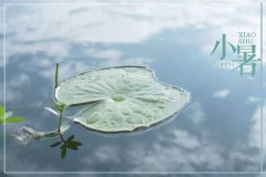 2019年7月7日小暑出生的女孩命运好不好？