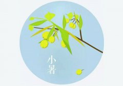 2019年小暑出生的男孩好吗？有什么优缺点？