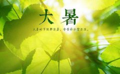 今年什么时候暑伏2019年大暑是不是暑伏？