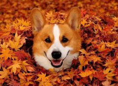 2019年农历八月十二日子好不好适合理发吗?