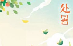 2019年七月二十三处暑日子好不好是吉日吗,处暑是几月几日？