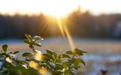 2019年农历七月哪天适合搬家乔迁较好的日子