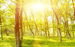 2019年农历七月孩子哪天出生好，农历七月生的猪宝宝好吗？