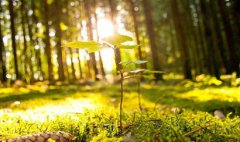 2019年农历七月装修房子动土吉日是哪几天？