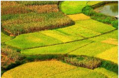 2019年农历七月开工动土吉日一览！