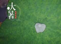 2019年大暑会不会下雨,2019年大暑这天是不是黄道吉日？