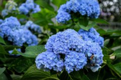 2019年农历七月十八黄历日子属于吉日吗,今天卦象怎么样？