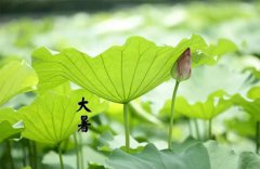 2019年大暑7月23日生宝宝好吗，大暑出生的女宝宝什么命？