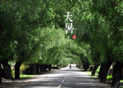 大暑之后会下雨吗2019年大暑热不热？