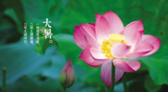 数伏天从什么时候开始2019年大暑是暑伏吗?