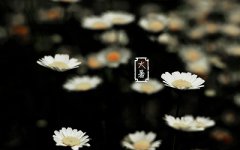 2019年大暑结婚好吗？结婚日子要避开节气吗？