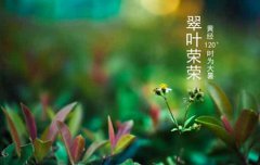 2019年农历六月廿一大暑日子适合搬公司吗,今年大暑哪一天？