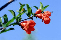 2019年农历七月初八立秋是修坟吉日吗,2019年立秋几月几日？