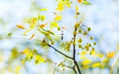 2019年小暑日子不宜同房吗,还有哪些日子不宜同房？