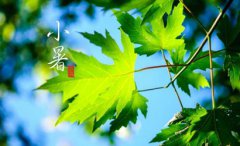 三伏天从什么时候开始2019年小暑是数伏第一天吗?