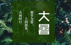 2019年大暑前一天开业吉利吗,2019年大暑前后开业吉日推荐！