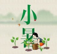 2019年小暑时辰吉凶分析，小暑习俗有什么？