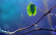 2019小暑是几月几日几点几分？