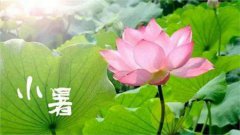 2019年小暑前一天日子适合搬家吗,2019年小暑几点几分？