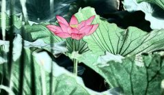 2019年7月7日小暑适合买房立券吗,小暑后一个节气是什么?