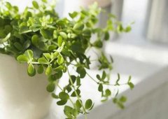 2019年阴历六月初六祭祀吉利吗,今日卦象好不好?