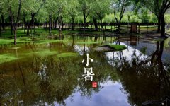 2019年小暑结婚好不好？小暑适合办喜事吗？