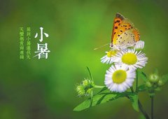 小暑和入伏是一回事吗2019年什么时候入伏?