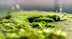 小暑前面是什么节气2019年小暑是哪一天?