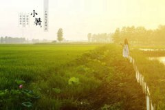 2019年小暑节气是不是入伏第一天,2019年小暑热不热？