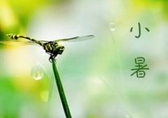 小暑下雨好不好，小暑后面的节气是什么？