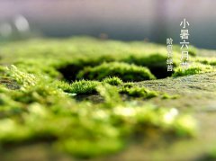 2019年小暑是几点几分开始,小暑热还是大暑热？