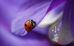 2019年农历六月初五小暑适合给孩子剃毛头吗,小暑理发吉利吗？