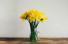 2019年农历七月初四日子是不是黄道吉日,今日不宜做什么？