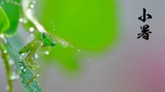 2019年小暑会不会打雷下大雨,小暑节气养生有何讲究？