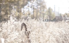 7月7日小暑节气出生的伟人名人有哪些？