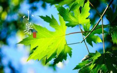 2019年小暑节气不能做什么,今年小暑日子诸事不宜吗？