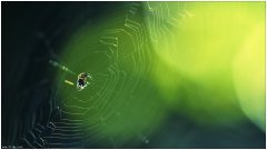 2019年农历六月初九日子祭祖吉利吗，上坟祭祖有何讲究？