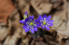 2019年阴历七月初一日子修坟合适吗,这一天的卦象好不好？