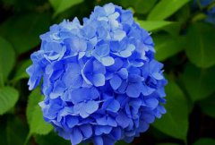 2019年阴历七月初二日子适合出殡吗,七月初二时辰吉凶查询！