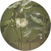 2019小暑是不是黄道吉日，小暑的注意事项