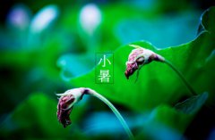 2019年7月7日小暑这天日子祈福合适吗,小暑是什么意思？