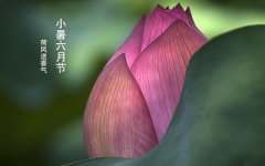 小暑是什么日子？二十四节气小暑是什么意思？