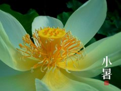 2019年小暑热不热，小暑热得透大暑凉飕飕什么意思？