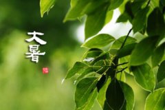 2019年大暑是什么季节，小暑大暑是什么时间？