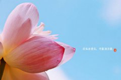 2019年7月7日小暑搬公司日子合适吗,2019年小暑是几点几分？