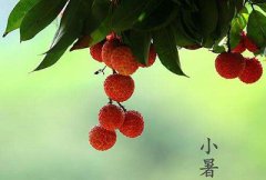 2019小暑是哪天？小暑后第一个未日出梅？